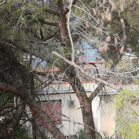 Apartman Lucica Zadar Buitenkant foto