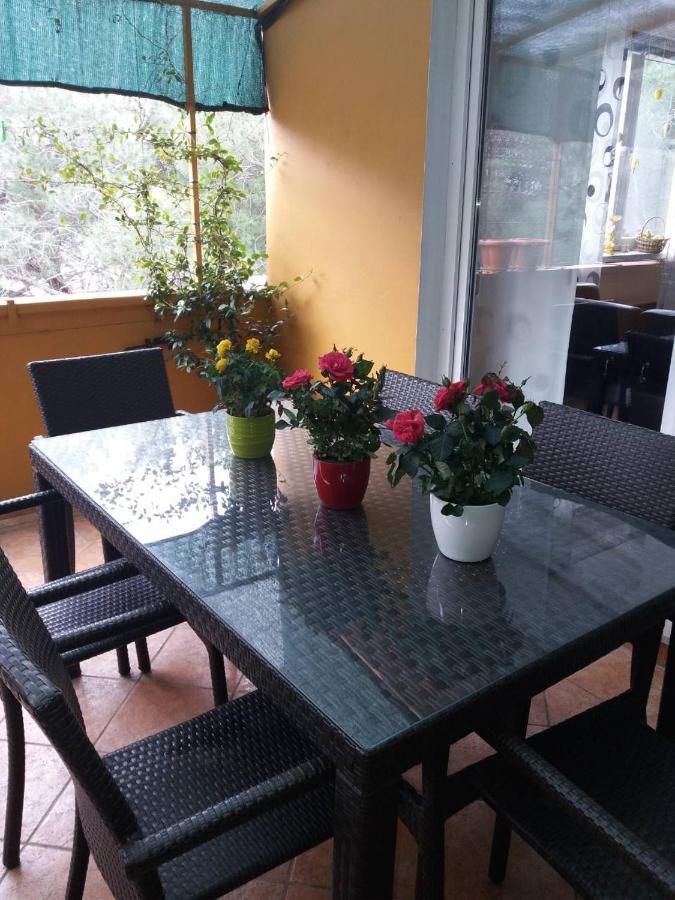 Apartman Lucica Zadar Buitenkant foto