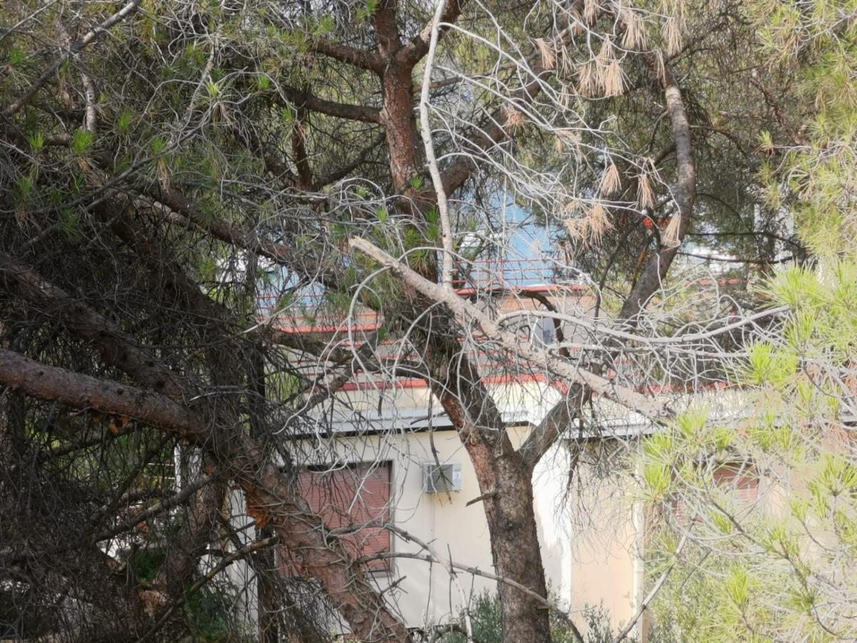 Apartman Lucica Zadar Buitenkant foto